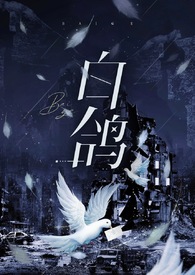 白鸽小品全集完整版