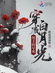 穿成男主的早死白月光后