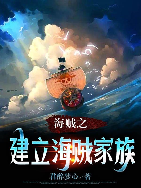 海贼之建立海贼家族小说