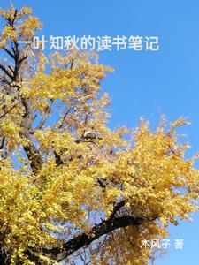一叶知秋小说讲的是什么
