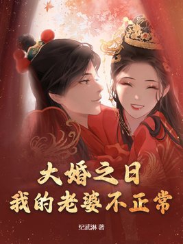 大婚当日免费全集