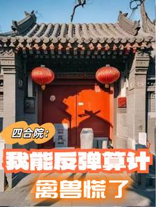 四合院:我