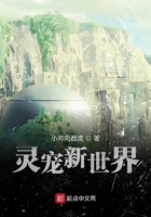 灵宠新世界顶点小说