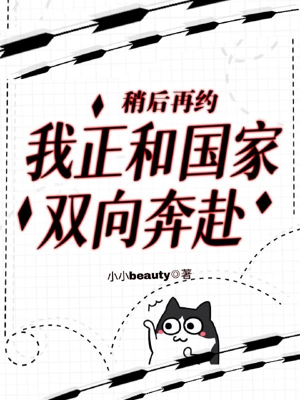 我正和国家双向奔赴小说