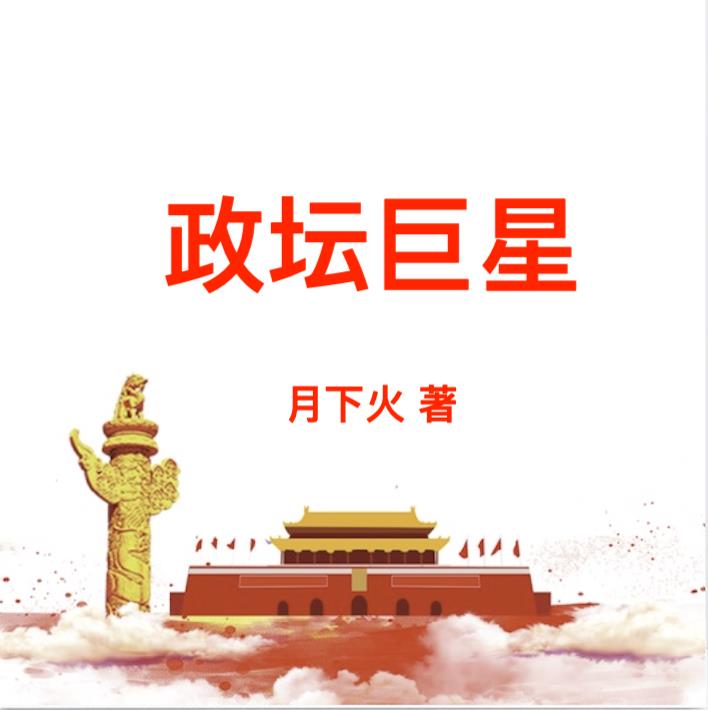 政坛之星小说