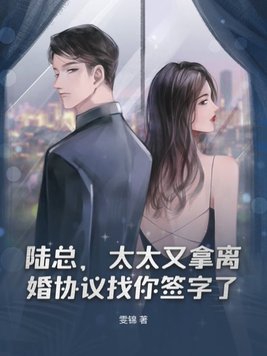 陆总收到离婚证