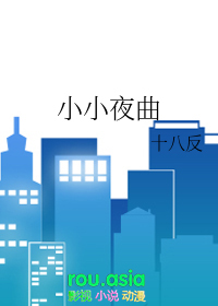 小小指挥官